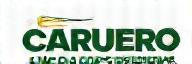 Logo de Caruero Road Support Mexico